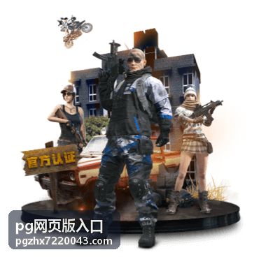 出差途中在酒店网络下使用 pg网页版入口